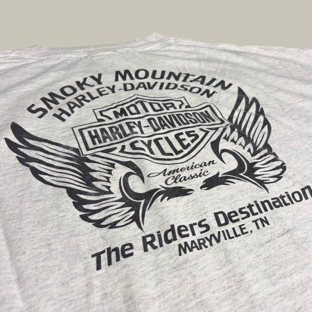 Harley-Davidson Smoky Mountain Maryville TN Graphic T-Shirt Gray Mens 3XL